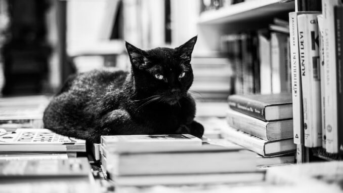 uploaded-image-zeytin-ve-zeytinyagi-endustrisi-trendleri-1697901421410