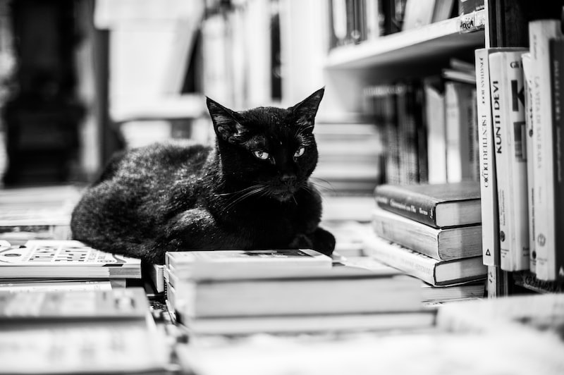 Zeytin ve Zeytinyağı Endüstrisi Trendleri Zeytin ve Zeytinyağı Endüstrisi Trendleri