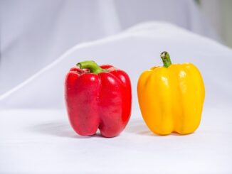 Yomra'da kırsal kalkınma projeleri hayata geçiriliyor